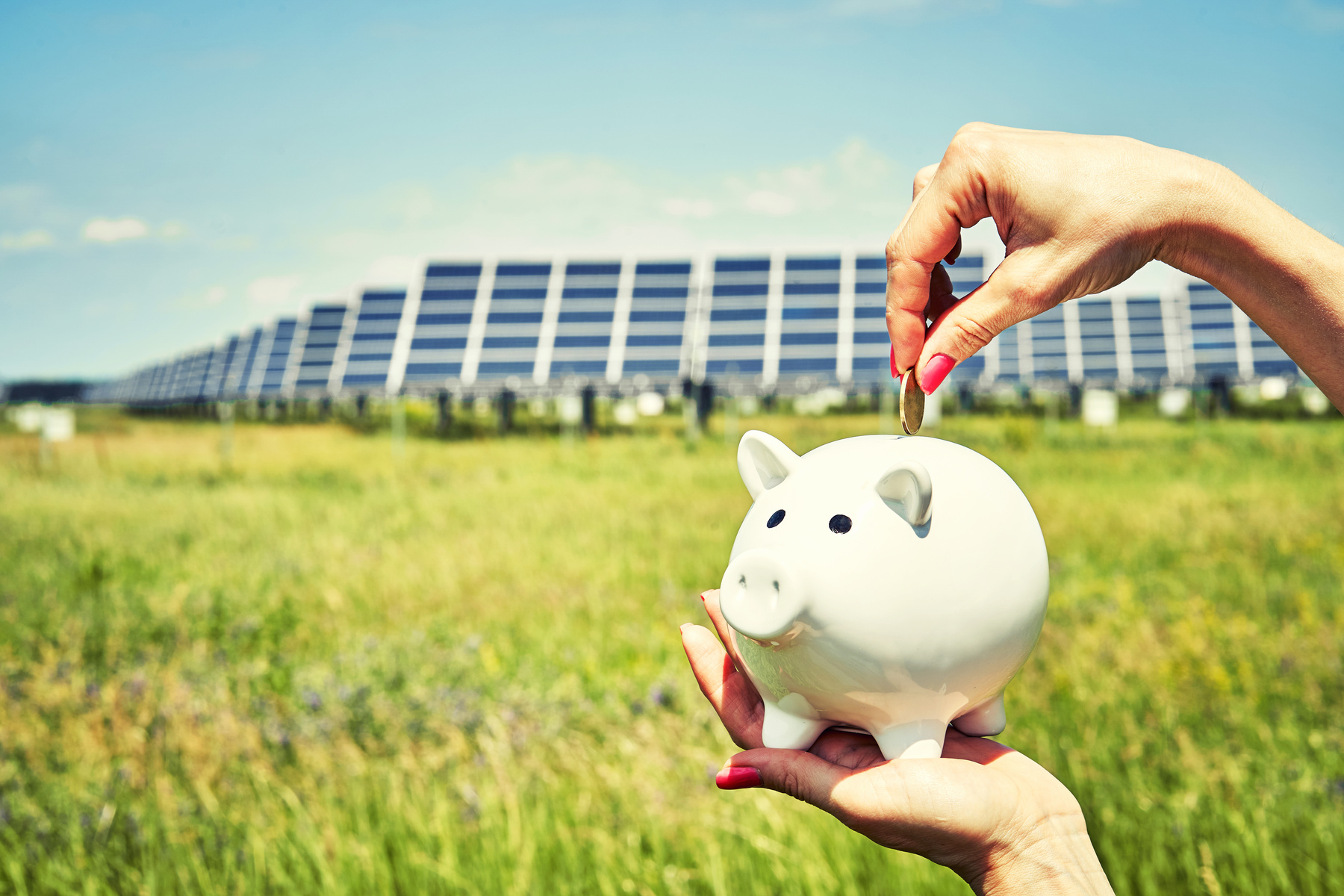 Person with Piggybank by a Solar Panel Field 